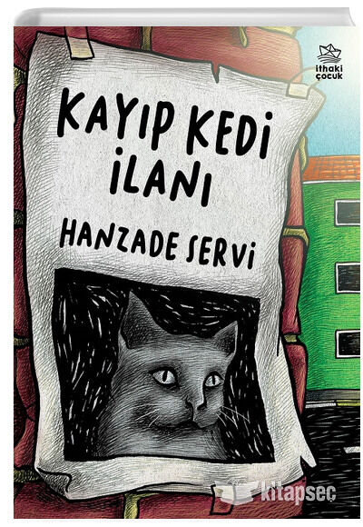 KAYIP KEDİ İLANI
