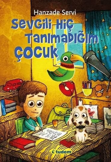 Sevgili Hiç Tanımadığım Çocuk - Hanzade Servi -Tudem
