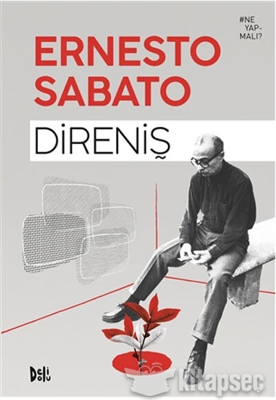 Direniş - Ernesto Sabato - Delidolu Yayınları