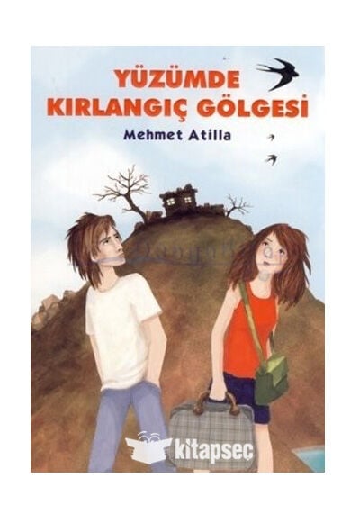 Yüzümde Kırlangıç Gölgesi - Mehmet Atilla -Tudem Yayınları